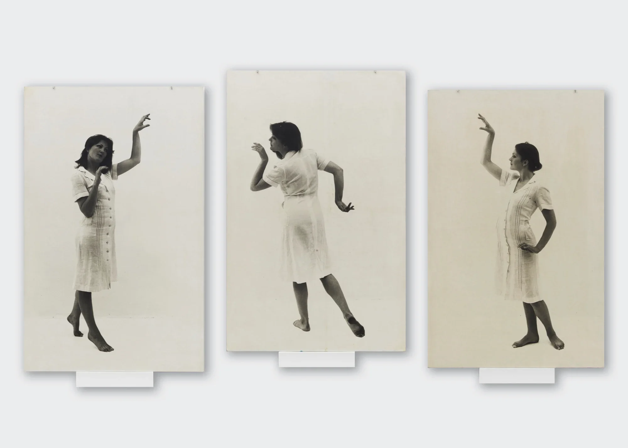 Boticceli de Venus.webp