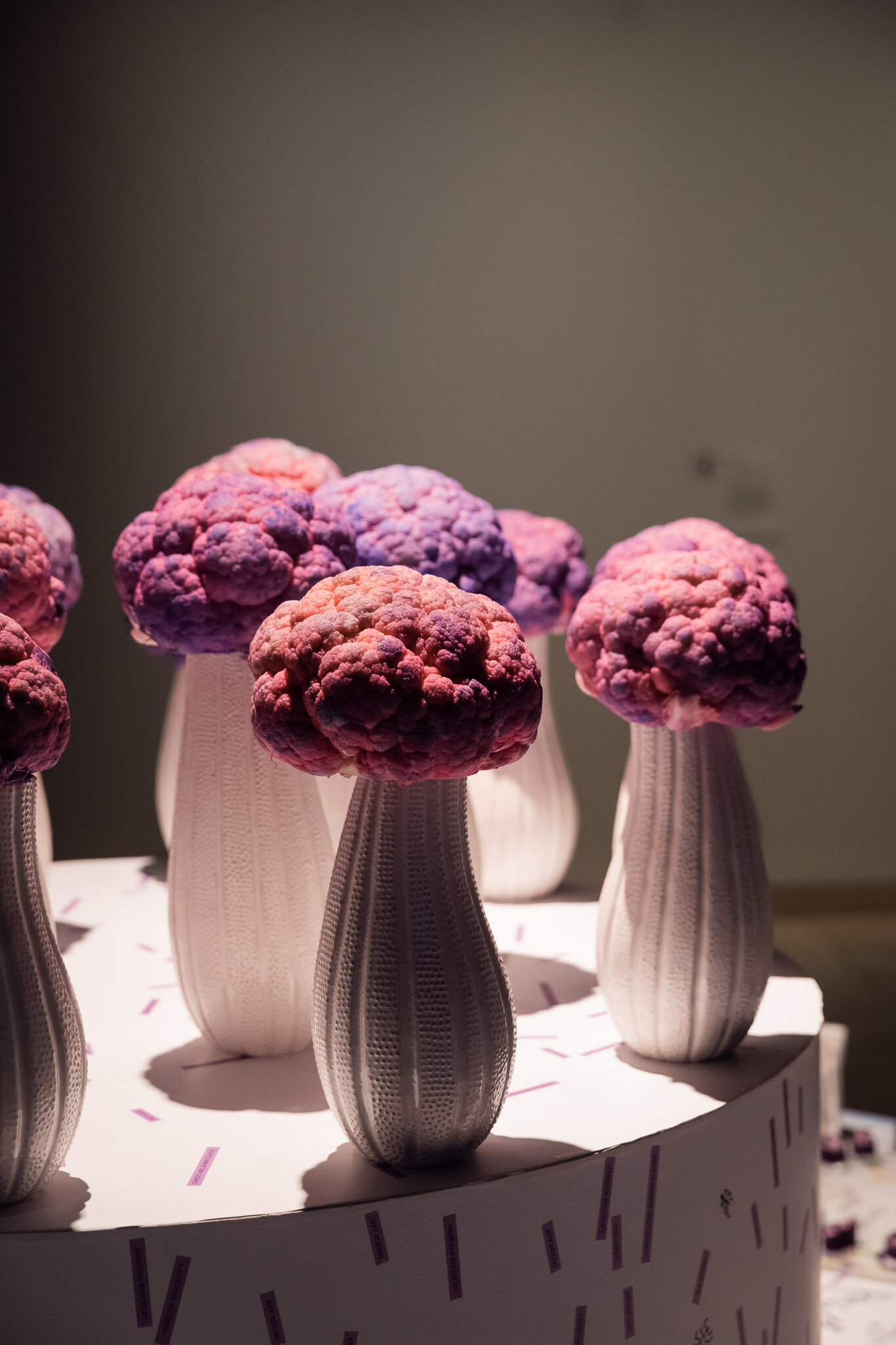 Kaldor - Making Art Public_Art Gallery of NSW_credit_Daniel Boud_010.jpg
