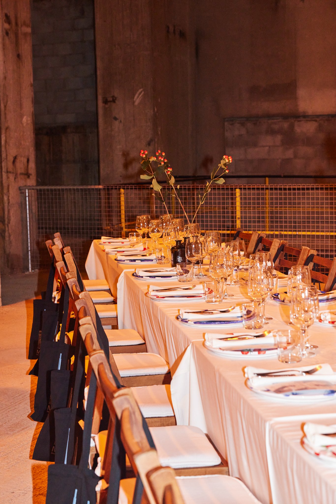 2024_MANIFESTA15_CLOSING_DINNER_Leafhopper 35.jpg