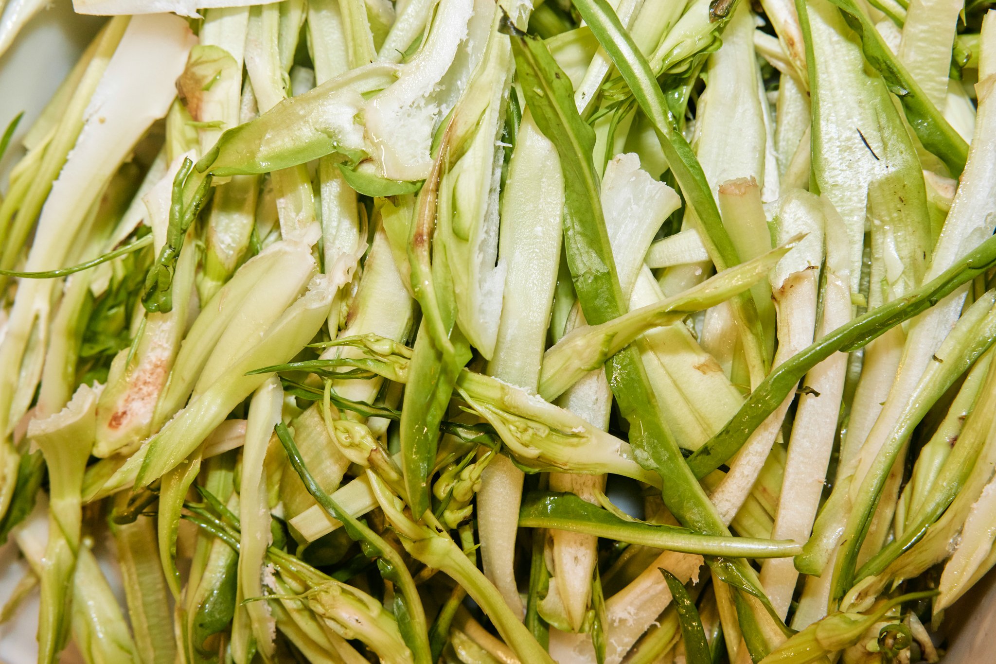 2024_MANIFESTA15_CLOSING_DINNER_Leafhopper 31.jpg