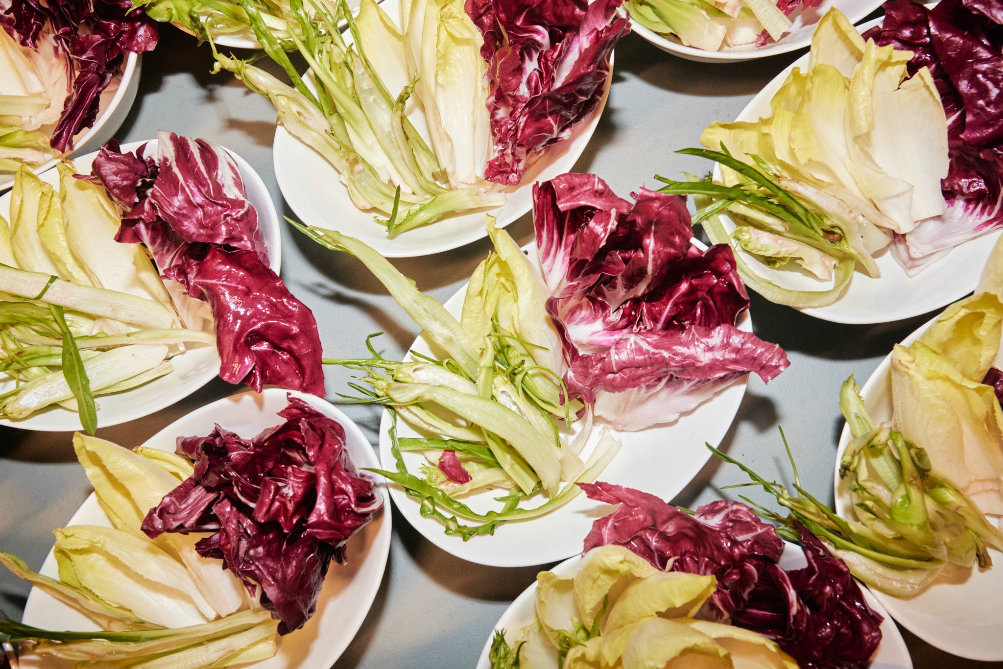 2024_MANIFESTA15_CLOSING_DINNER_Leafhopper 47.jpg
