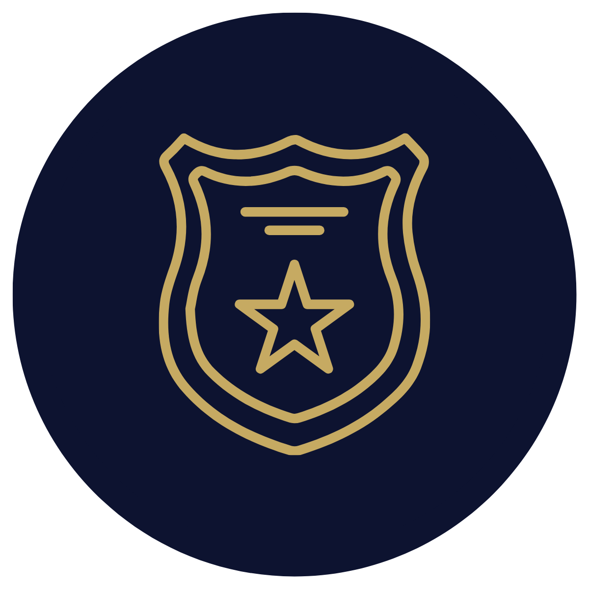 Badge with a star in the center, outlined in gold on a dark blue background.