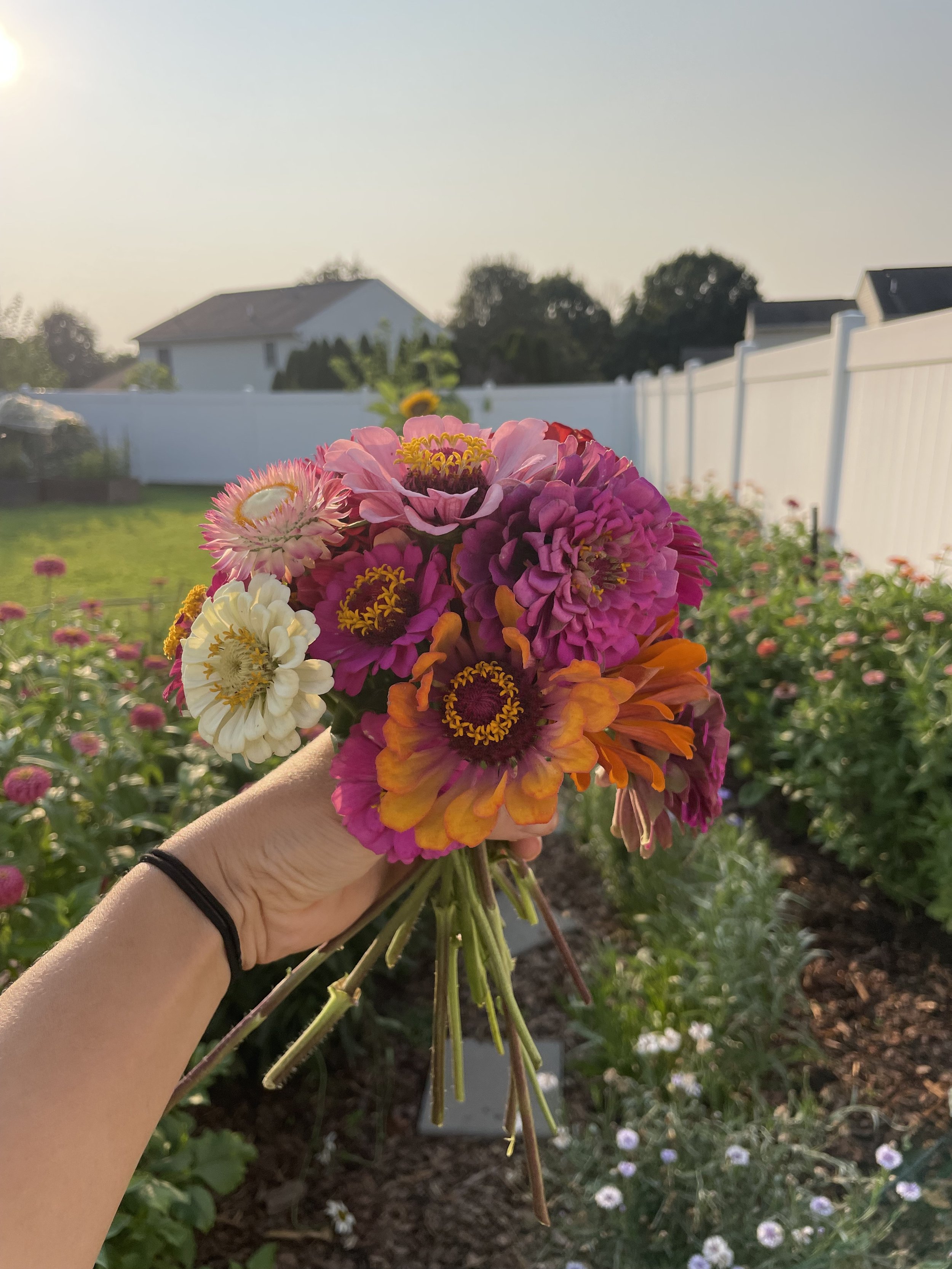 Building My Dream Cottage Garden