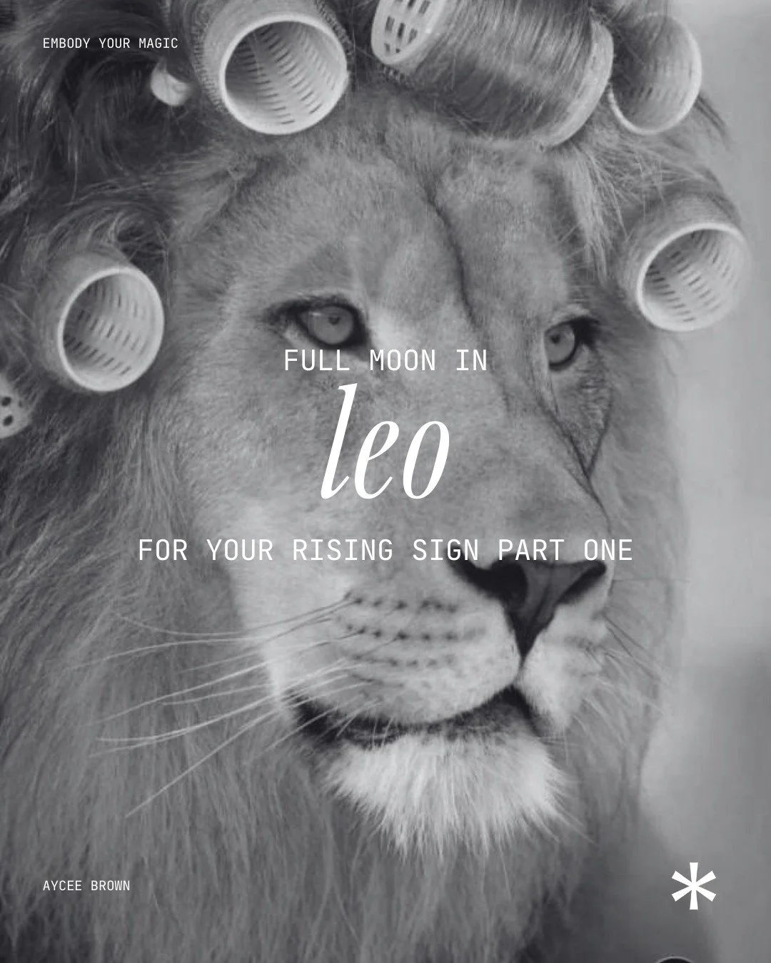 Part One. Full Moon in Leo lands on February 1st at 13 degrees, and this one is about visibility in the way that actually scares you.

Not the curated kind of visibility where you have already decided what people get to see and approved the angles an