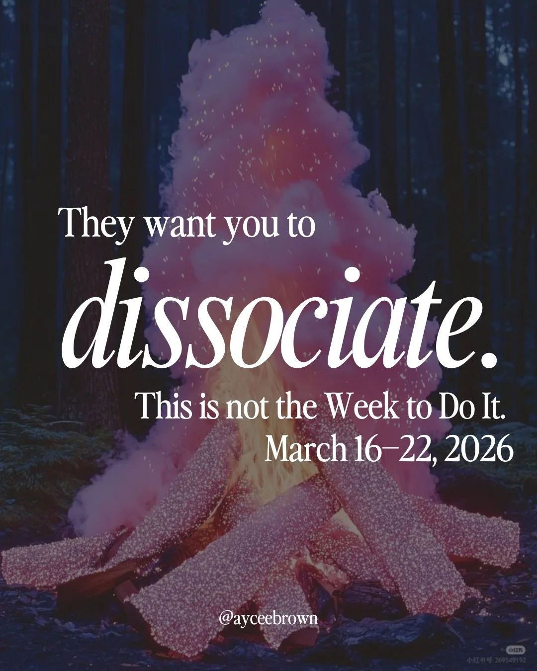 This week is not a normal week. Please don&rsquo;t treat it like one. All of it together is a spiritual pressure cooker, and your body is going to want to check out. The scrolling, the numbing, the &ldquo;I&rsquo;ll deal with it later&rdquo; all of i