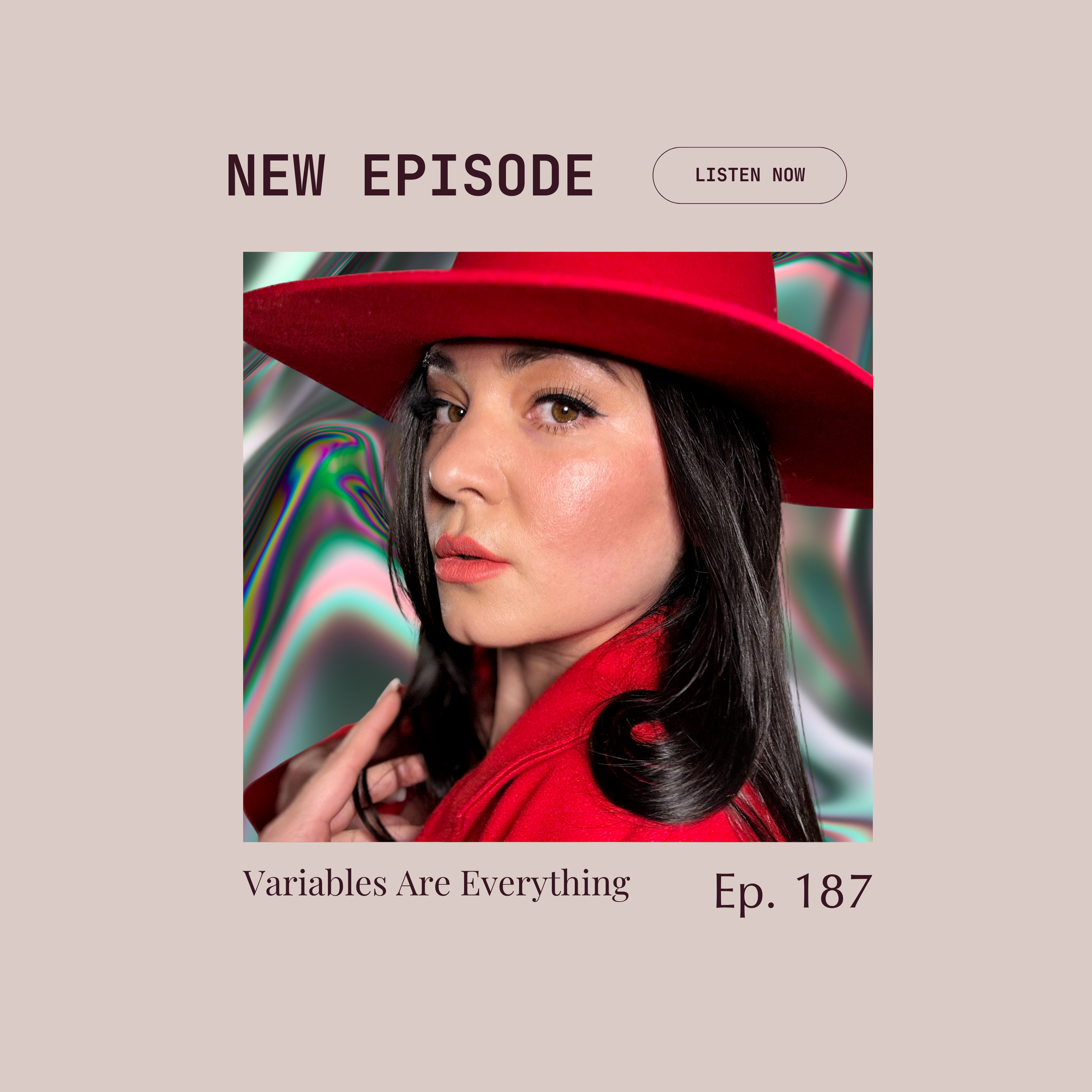 Episode 187 : Variables Are Everything with Vaness Henry
