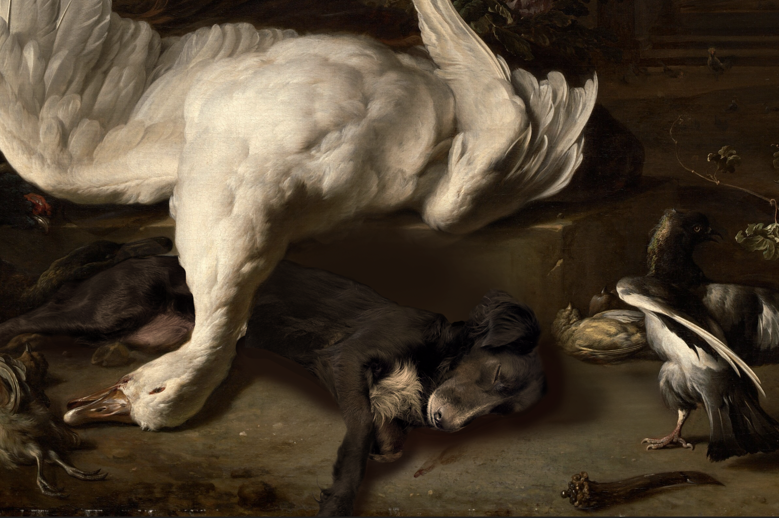 still life (weenix)