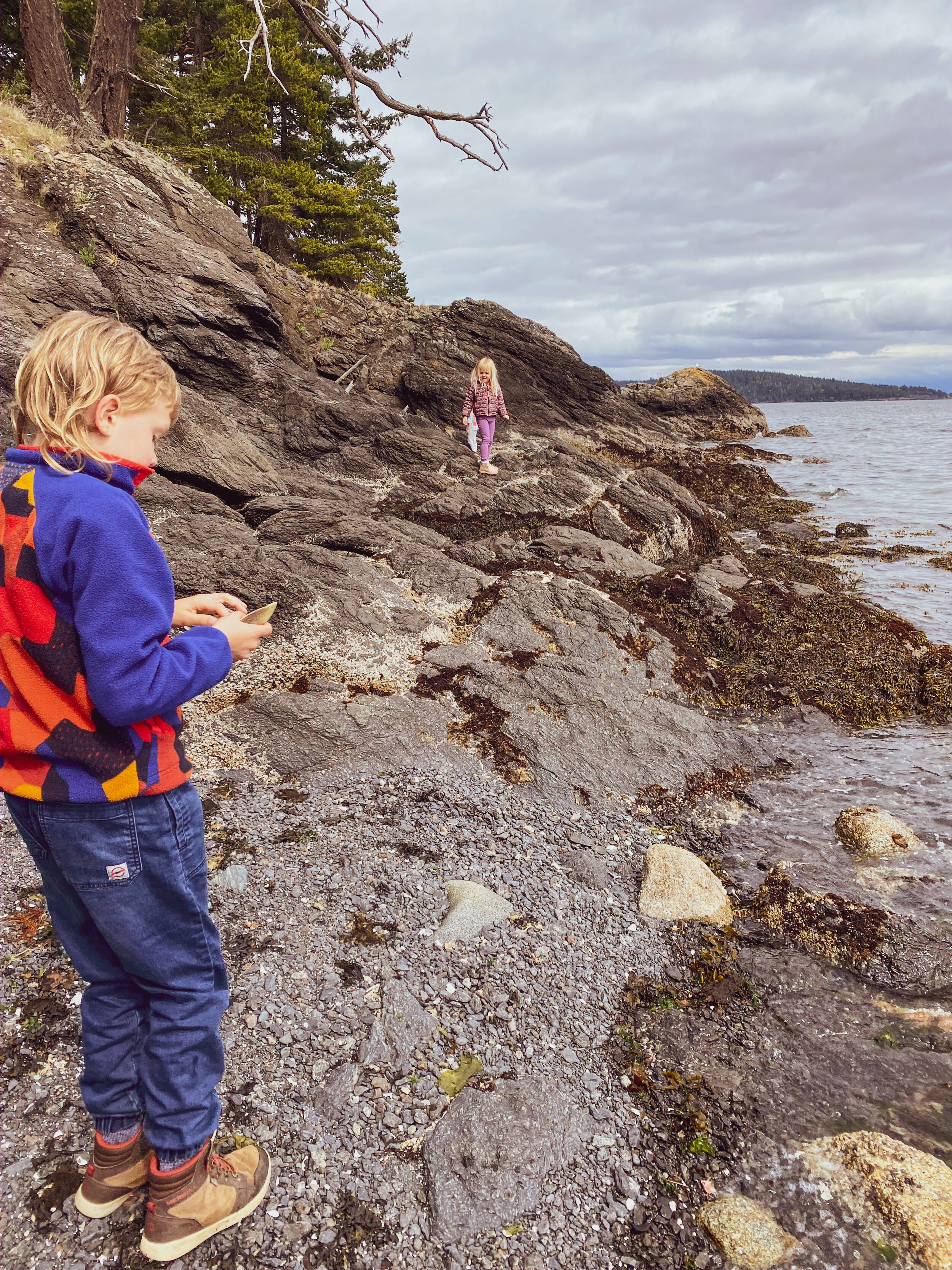 Orcas nature-3.jpg