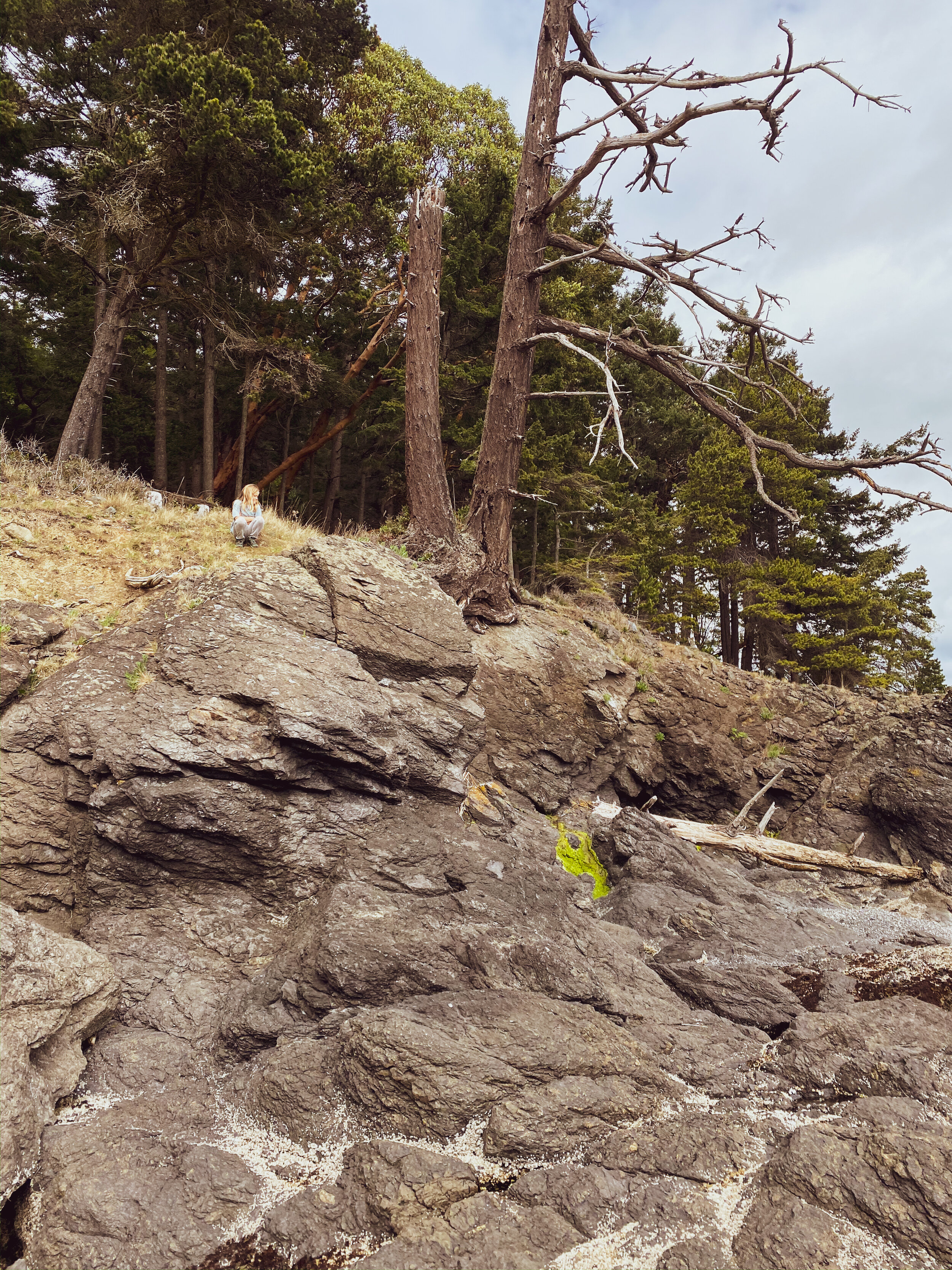Orcas nature-2.jpg