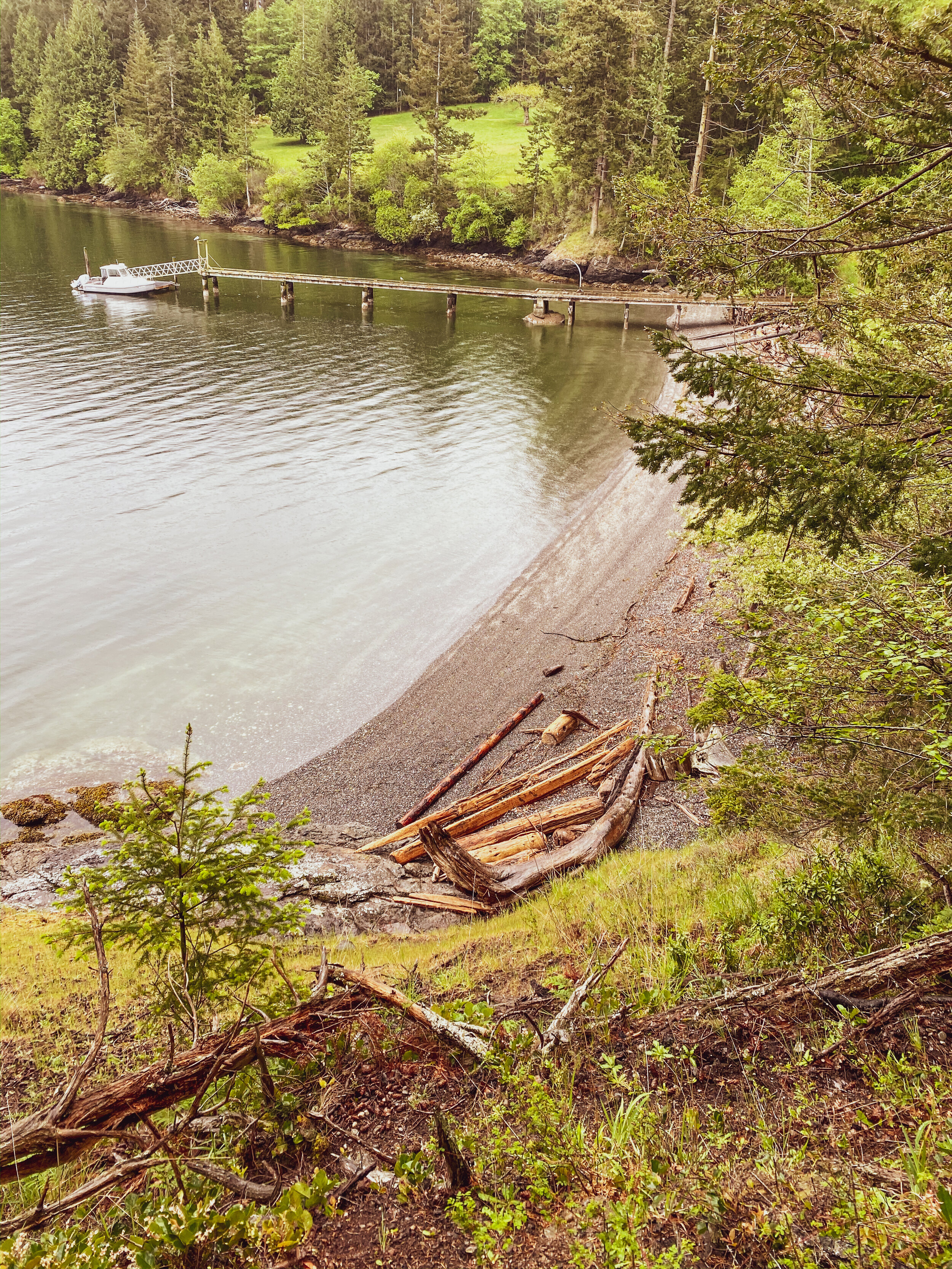 Orcas nature-6.jpg