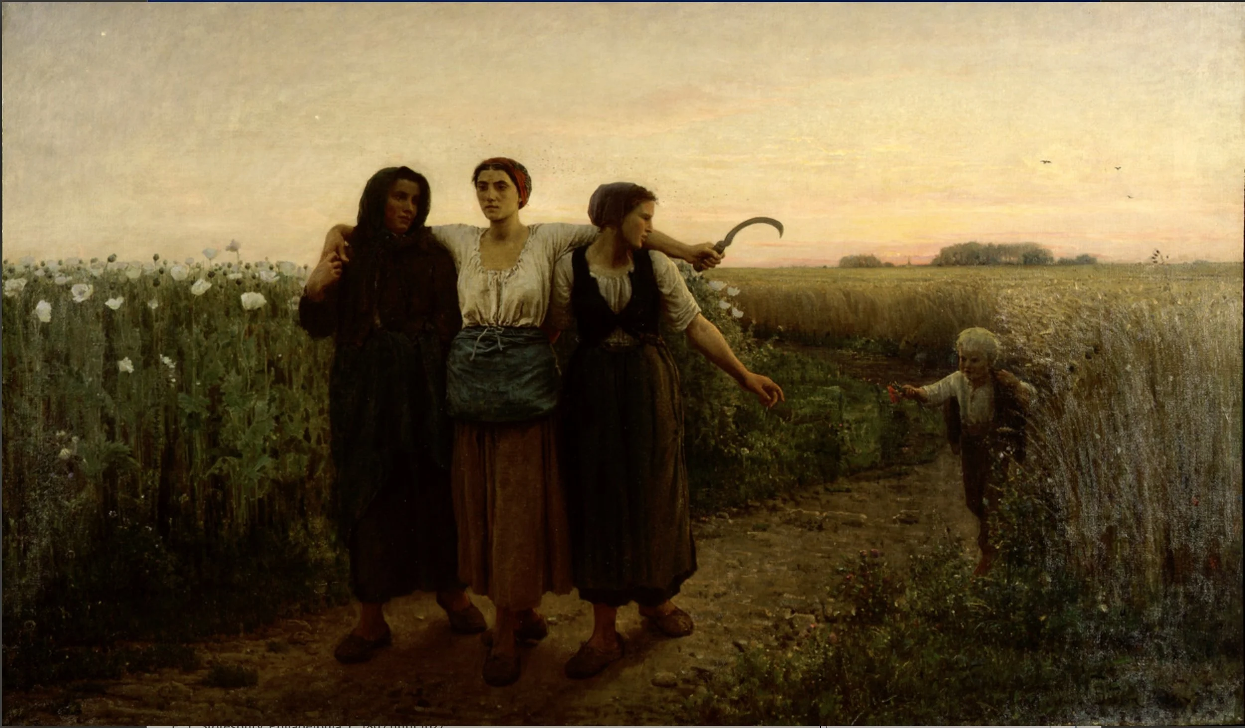 Screenshot 2023-10-12 at 10.31.52 AM.jpeg