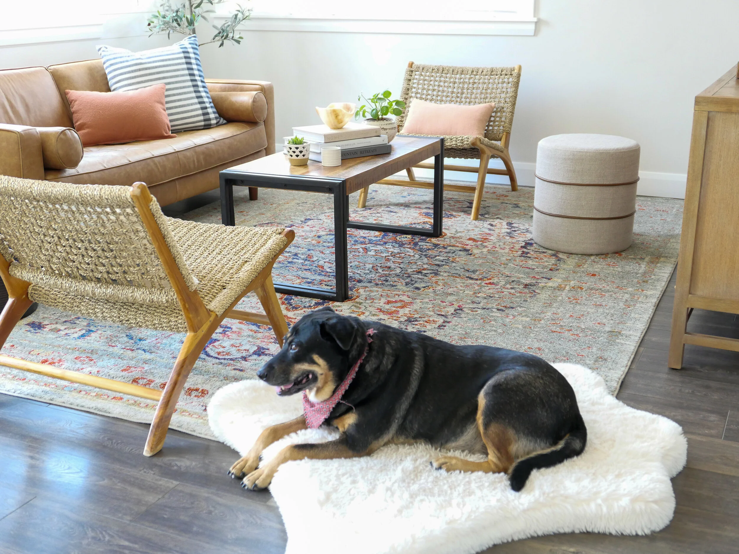 Should You Make Your VRBO PetFriendly? PetFriendly ShortTerm Rental Tips — Extra Nest