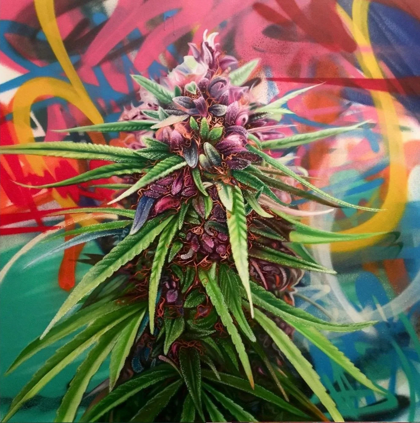 “La planta” 2021 
30” x 30” oil and aerosol on canvas