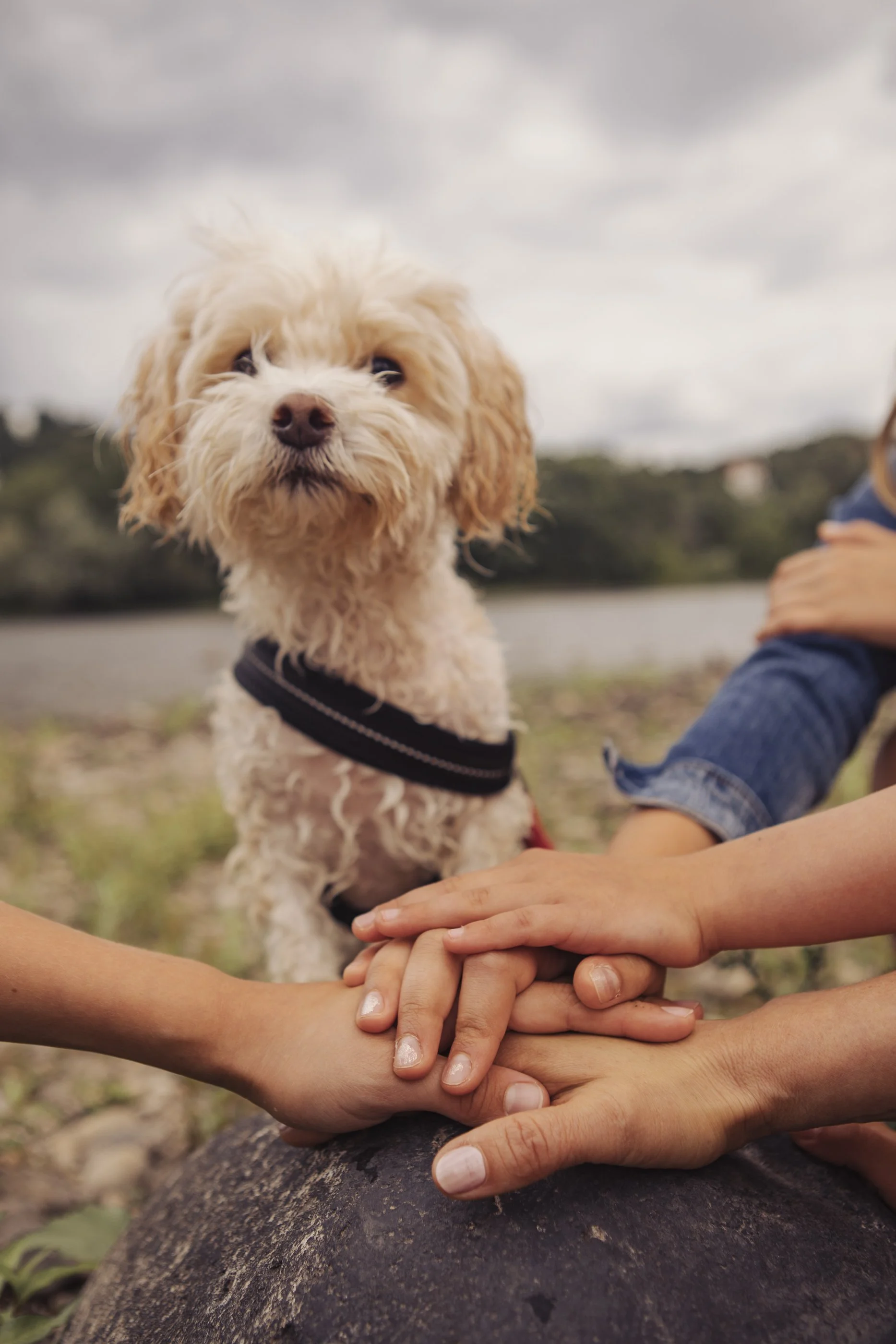 WEB_Family Portraits_Bianca and Children, Dresden, Saxony (21 von 43).jpg