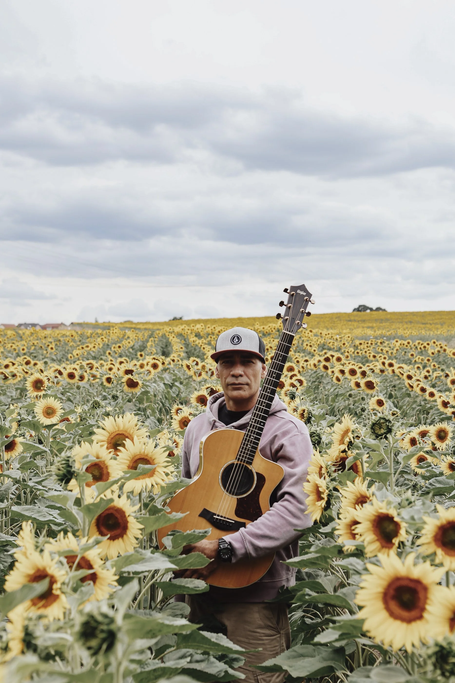 web_Kahiki, sunflowers (3 von 15).jpg