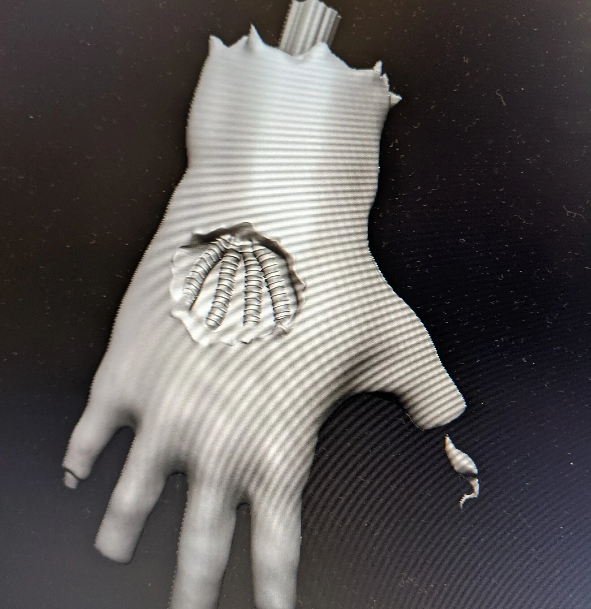 hand2.jpg