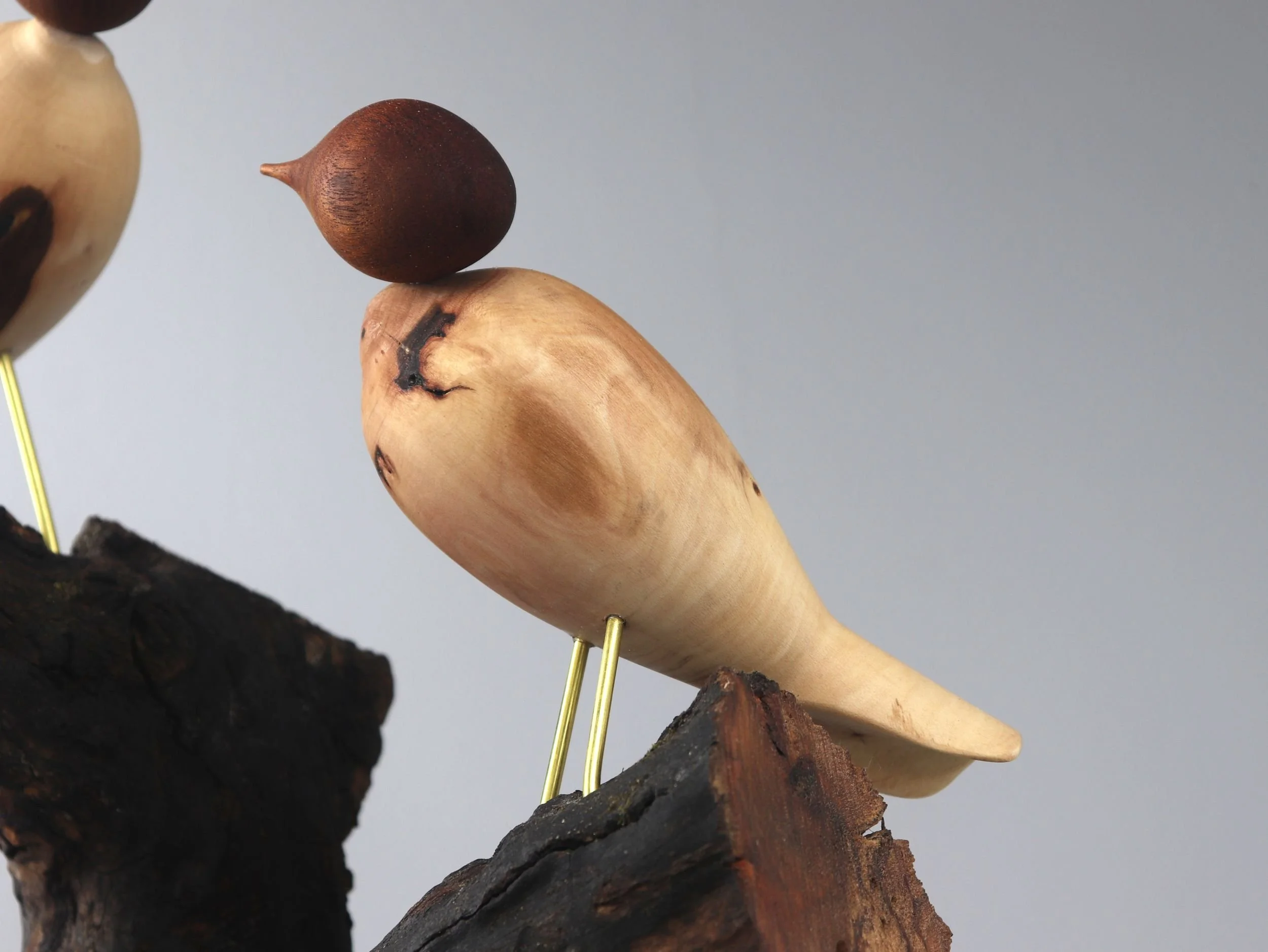 Intimate view of two wooden birds on branch showing interactive turning heads and artistic wood contrasts