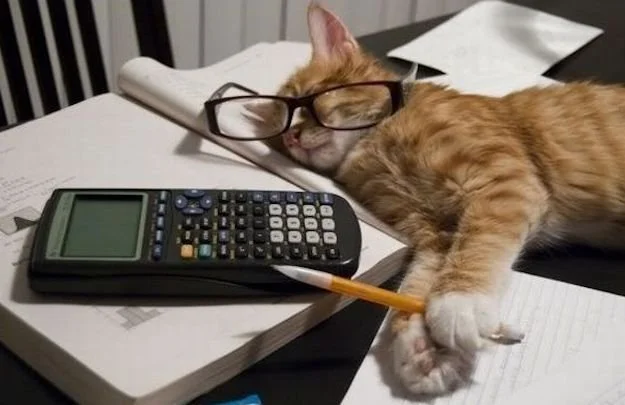 Study Night