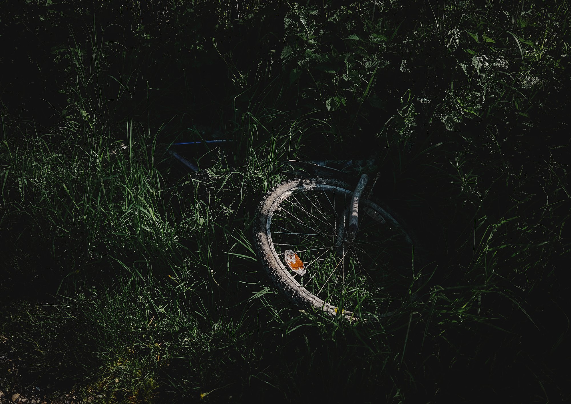 365#135