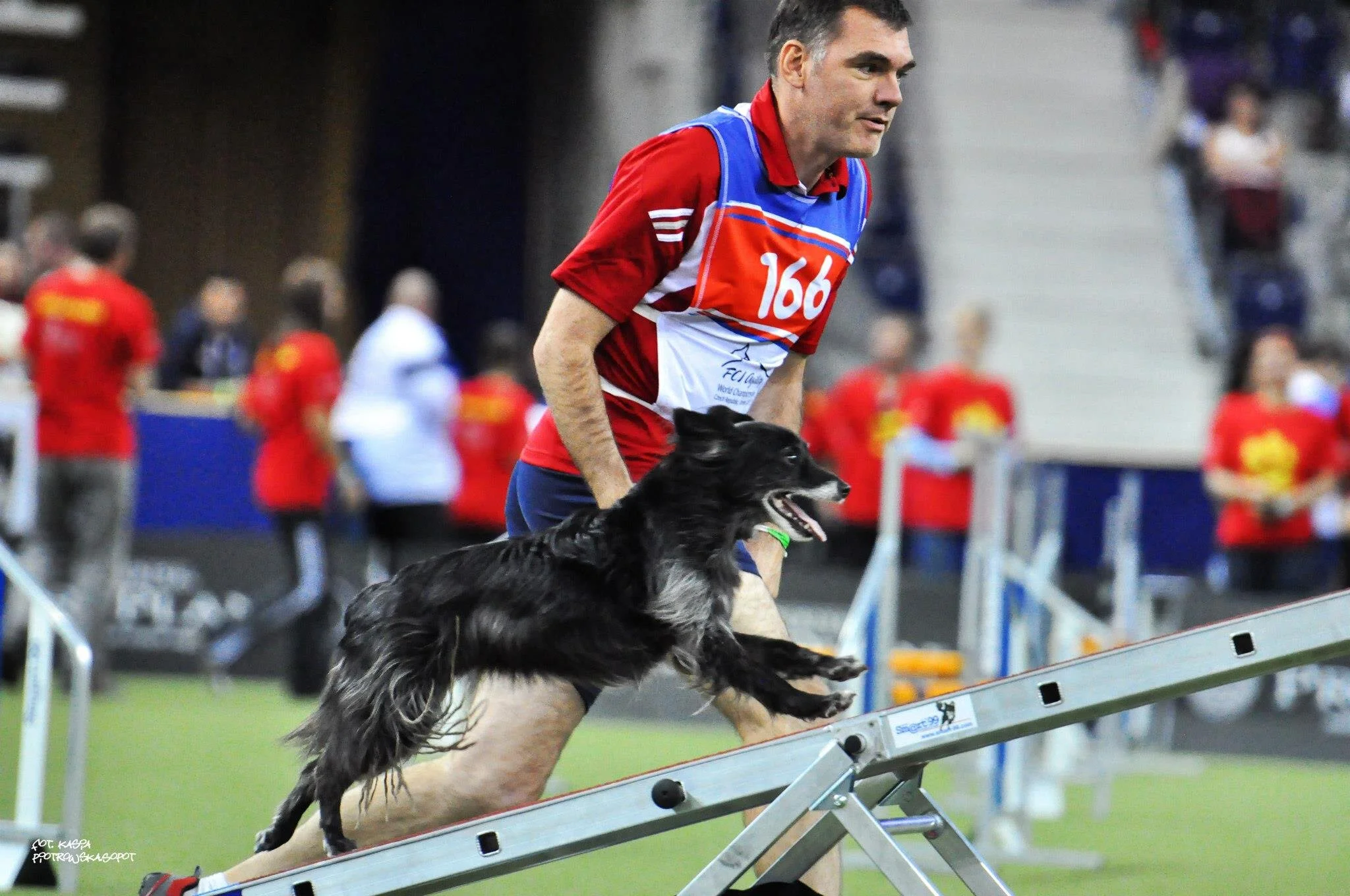 Golden Gate Dog Sports