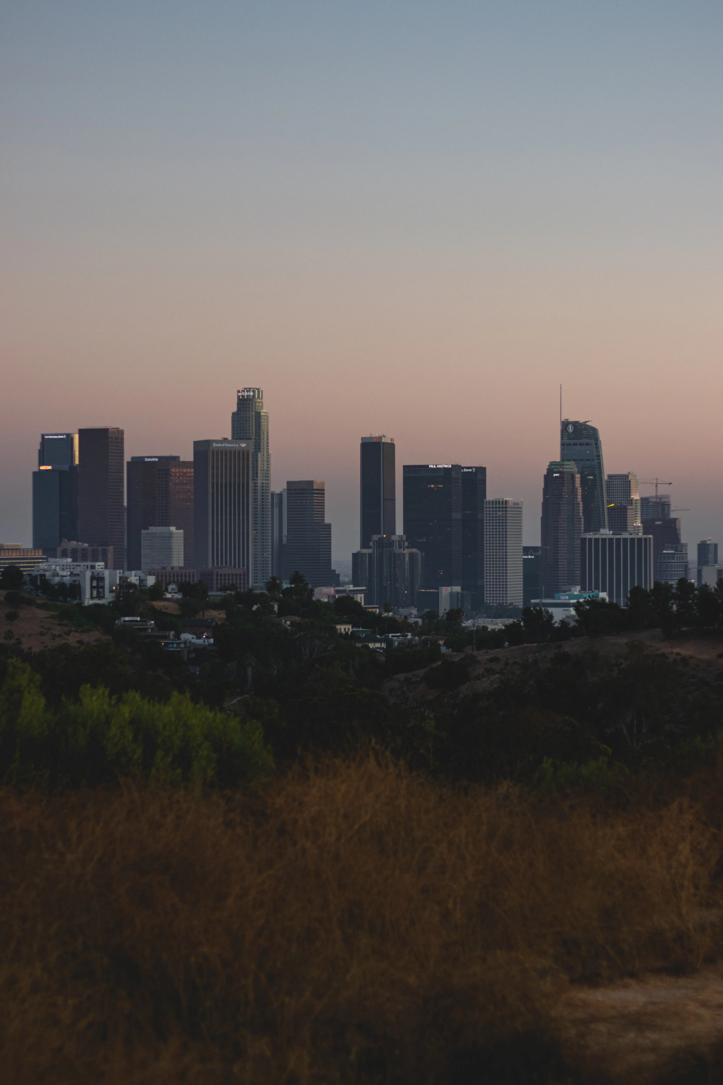 IMG_5019.jpg