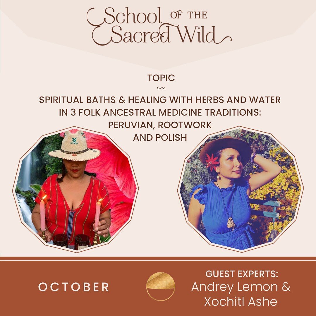 The Apprenticeship to the Sacred Wild ✨M O N T H L Y.  G U E S T.  S P E A K E R S ✨weave us deeper into our theme of the month through their unique &amp; refined gifts. &hearts;️

The Apprenticeship to the Sacred Wild in October we have just entered