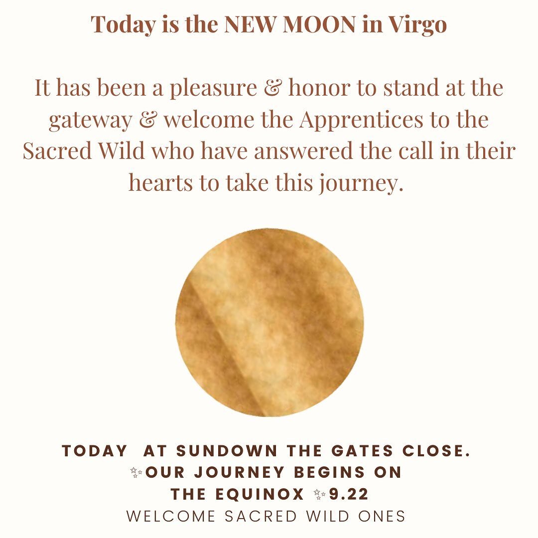 Blessed New Moon, what a delicious closing to a powerful moonth ✨🌑✨
.
.
It has been such a joy to open this gateway for my new Apprenticeship to the Sacred Wild on the last new moon. 
.
.
It has been powerful to meet so many souls from all over the 