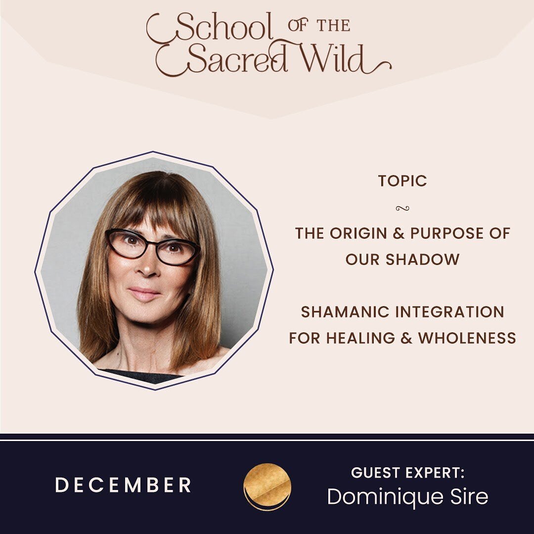 The School of the Sacred Wild ✨M O N T H L Y.  G U E S T.  S P E A K E R S ✨ weave us deeper into our theme of the month through their unique gifts and wisdom. 

In the month of December, which corresponds to the Crone archetype, the Dark Moon, Winte
