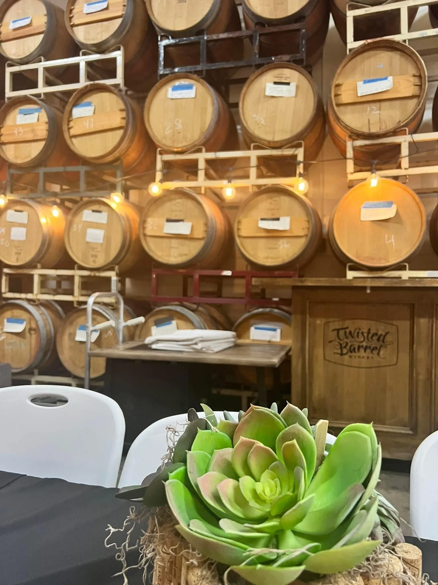 6th Annual Pedal to Vino