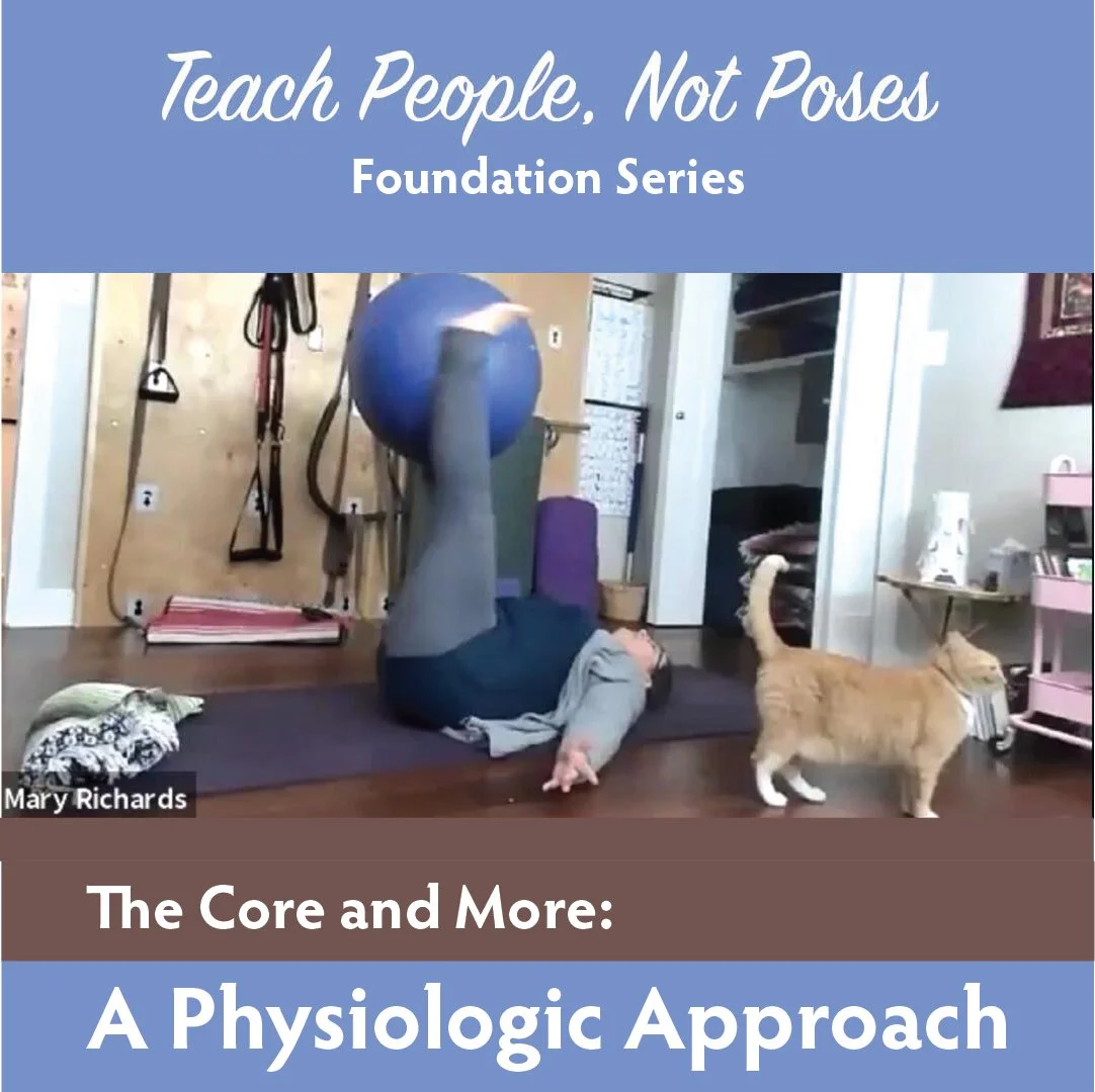TPNP-the-core-and-more.jpg