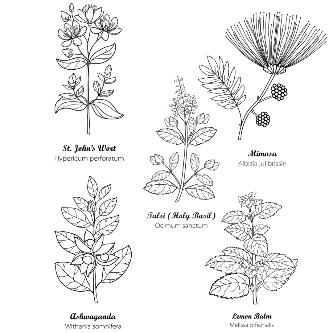 Lymphatic Blend — House of Hens and Grit