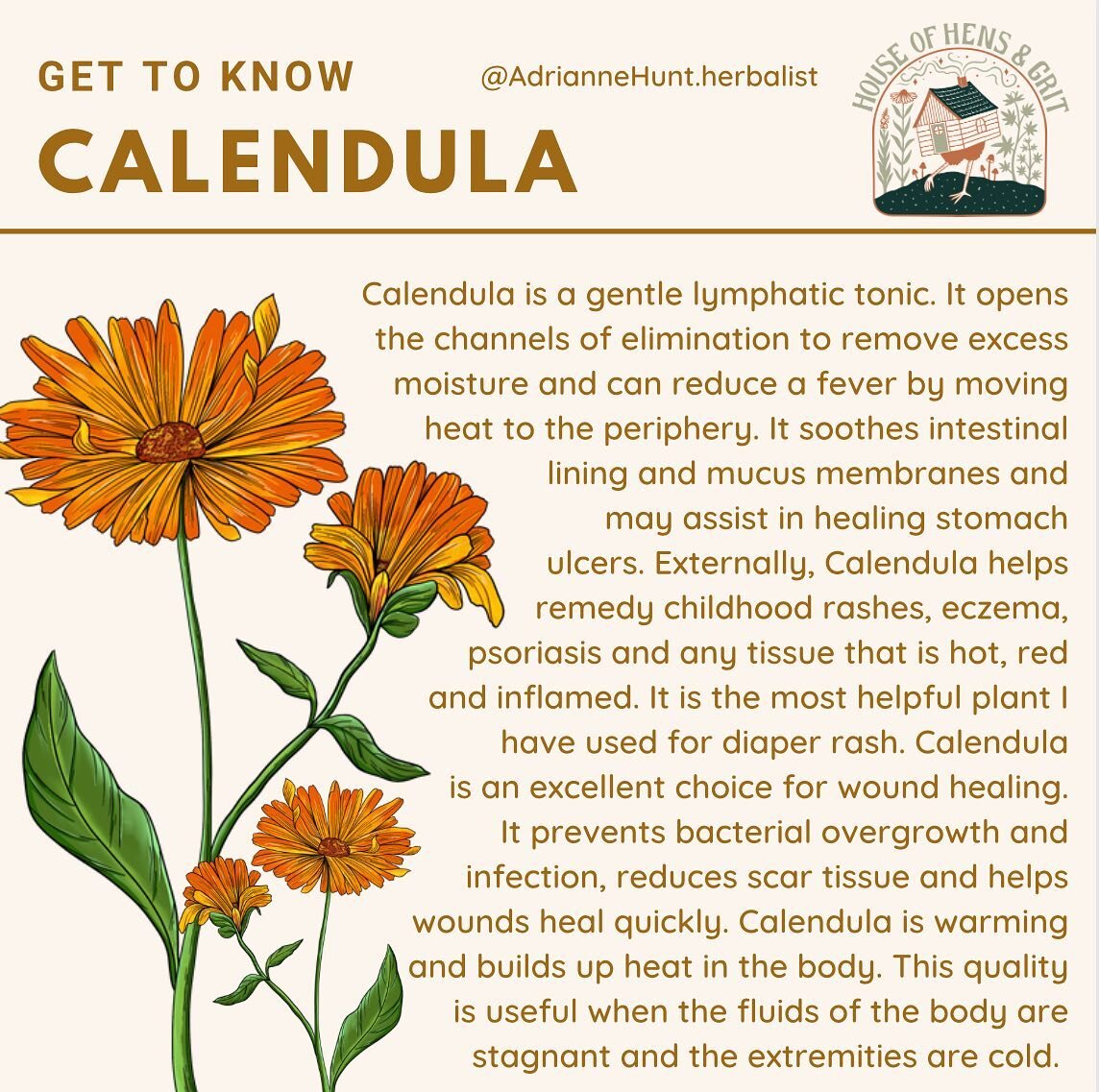 Calendula Officinalis / Calendula / Asteraceae
-
Calendula Extract speeds tissue healing from injuries, cuts, burns and bruises. Regular use soothes dry skin, eczema, psoriasis, hemorrhoids, and postnatal healing.&nbsp;
-
Parts Used: Flowers
-
Uses:
