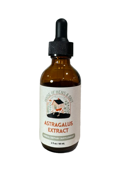 Astragalus Root Extract