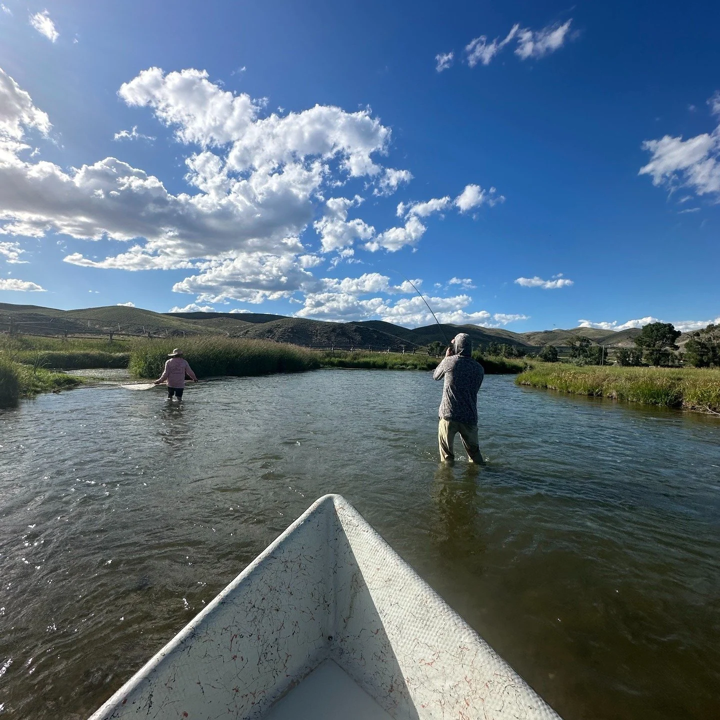 NEW BLOG POST. 

nativerodco.com/blog-1-2/fishing-when-the-water-gets-warm

WWW.NATIVERODCO.COM