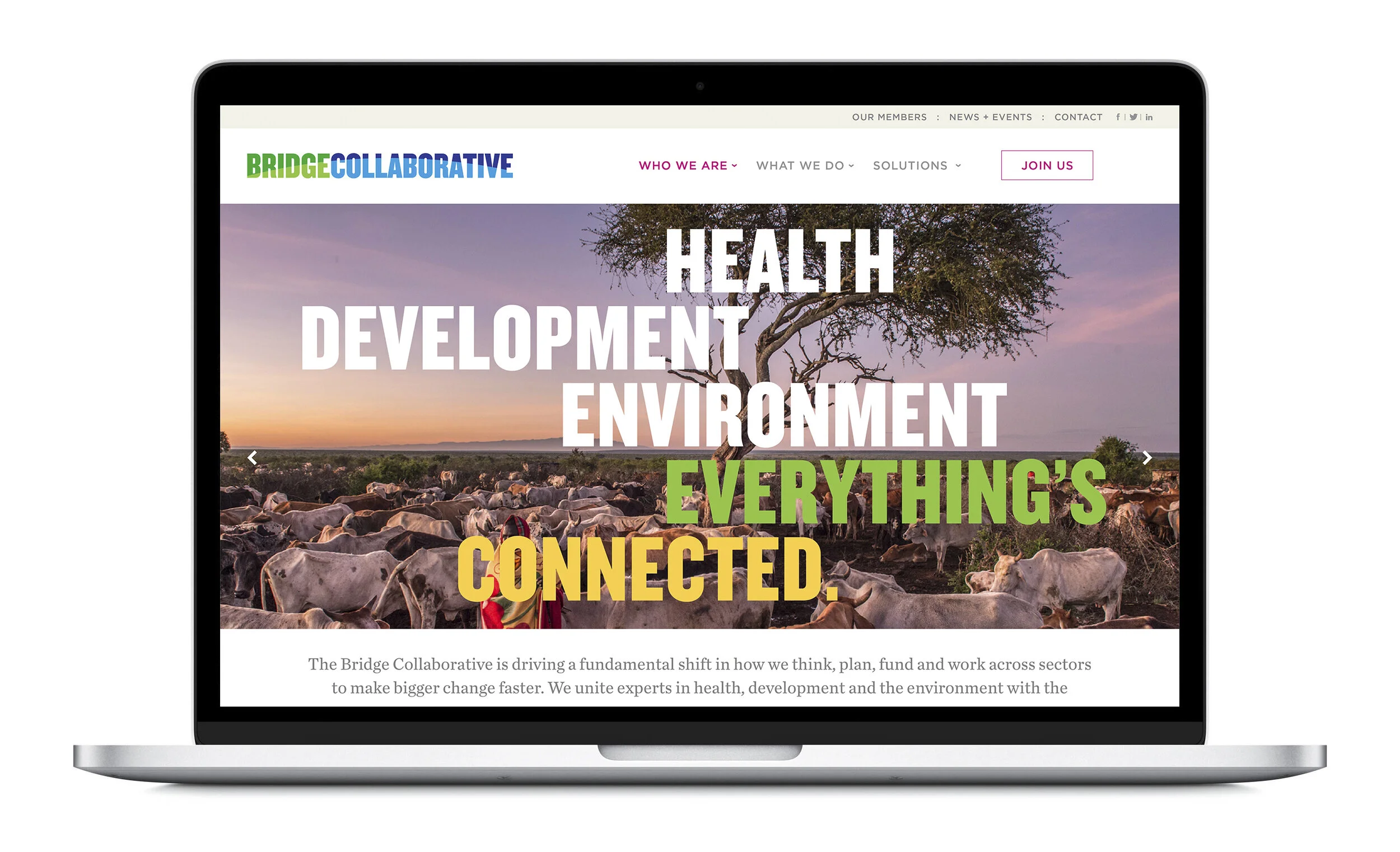 Bridge Collaborative