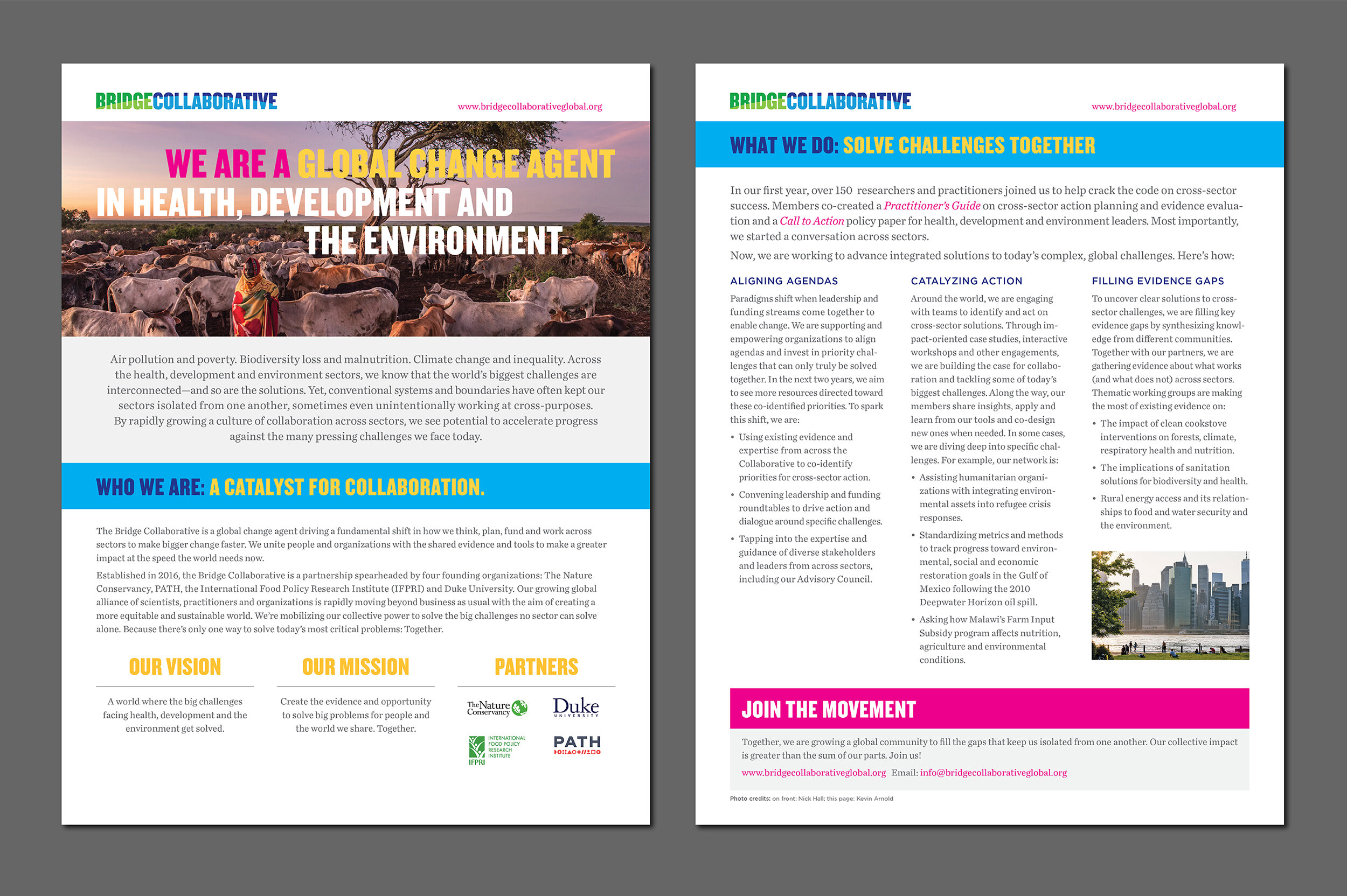 Bridge_Collaborative_Fact_Sheet.jpg
