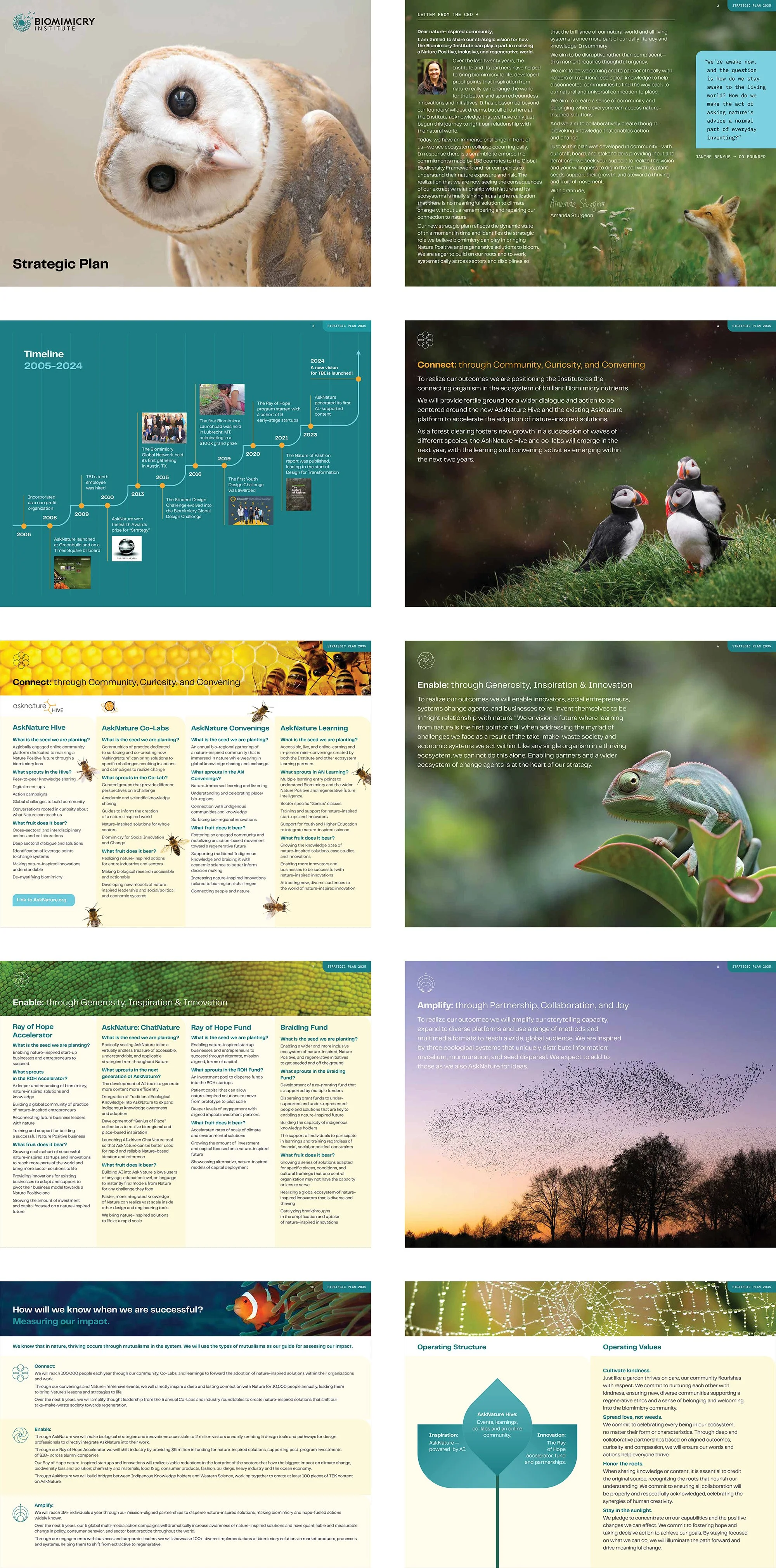 Biomimicry_Institute_Strategic_Plan_Treskin_Design.jpg