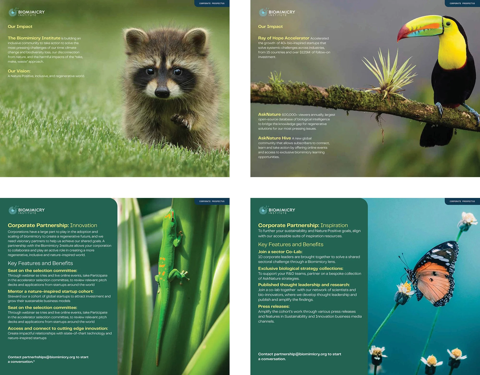 Biomimicry_Institute_Prospectus_Treskin_Design.jpg