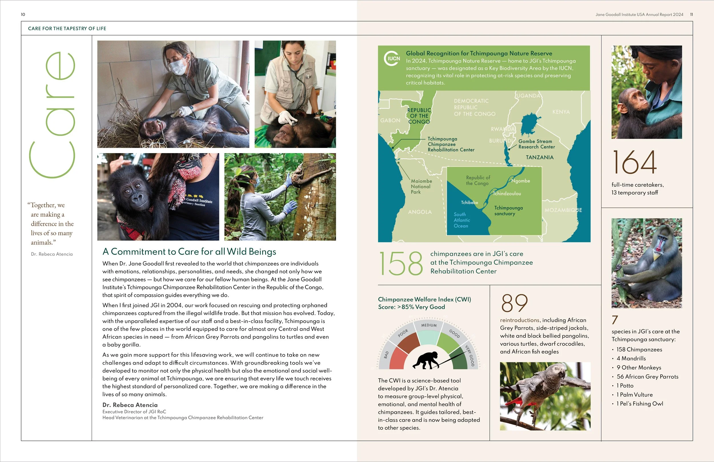 Jane_Goodall_Annual_Report_2024_Treskin_Design_4.jpg