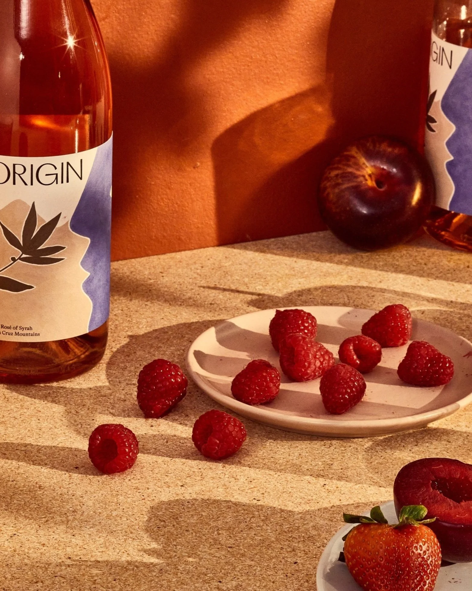 2023 Origin Rosé of Syrah | Santa Cruz | Lester Family Vineyards