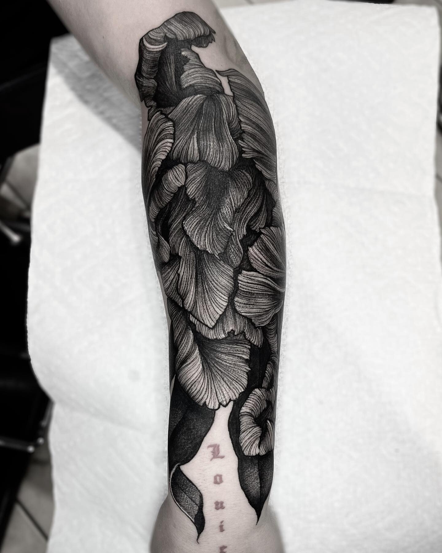 Parrot tulip 🌷 Can&rsquo;t wait to continue this project! 🖤
✖️ Done at @sharktooth_tattoo ✖️
.
.
.
.
@industryinks
@hivecaps 
@empireinks 
@goodguysupply 
.
.
.
.
.
.
.
.
.
.
.
.
.
.
#tattoo #tattoos #tattooartist #tattooed #tattooist #blackworkers