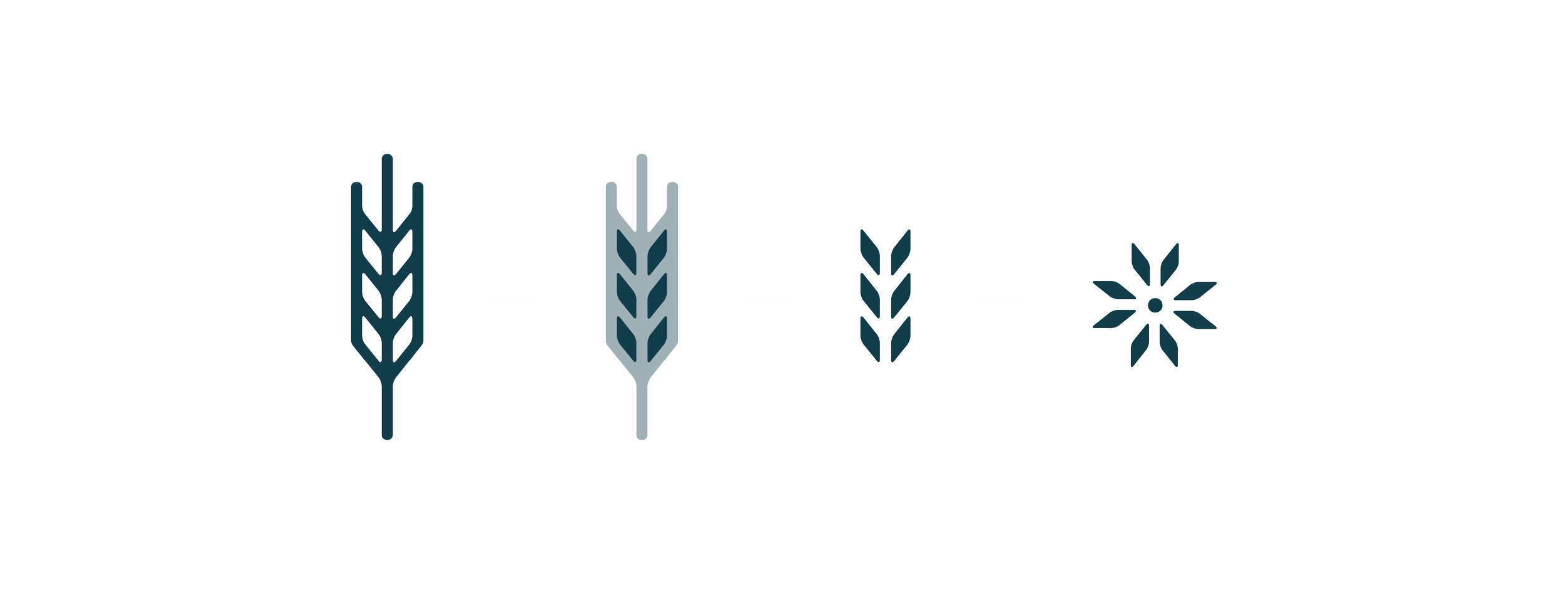 shapes-03.png