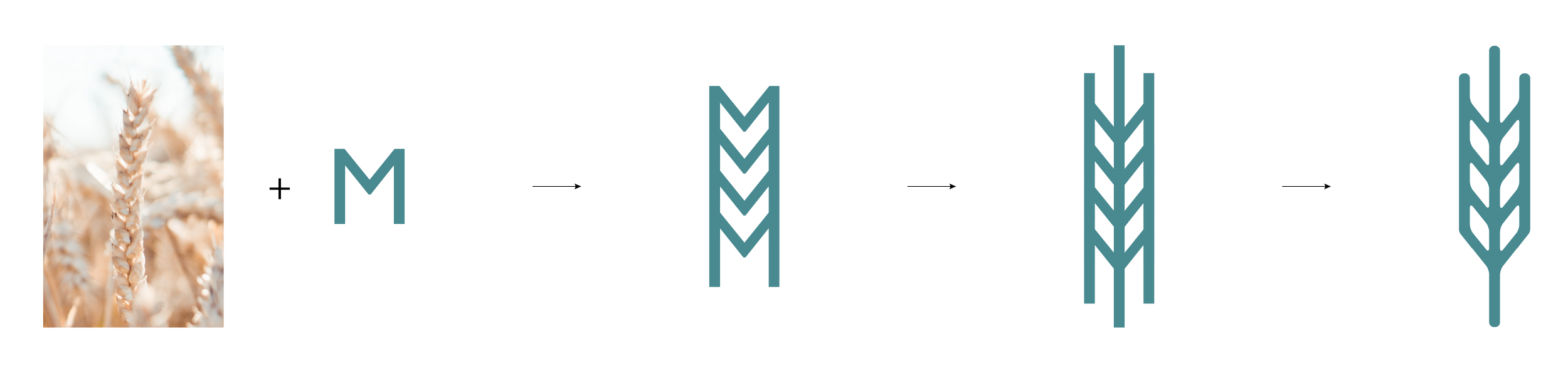 logo-shapes-01.png