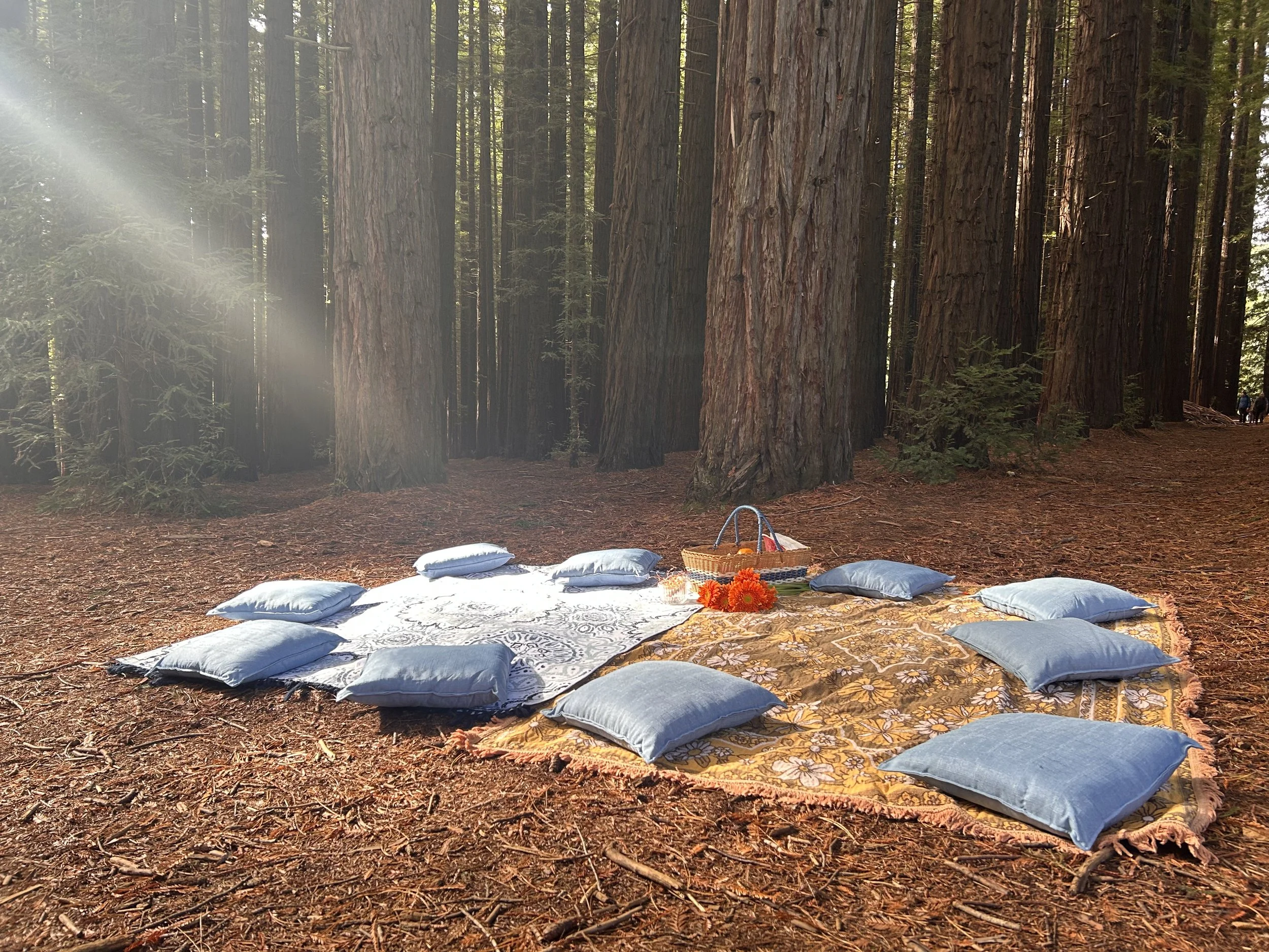 warburton forest retreat.JPG