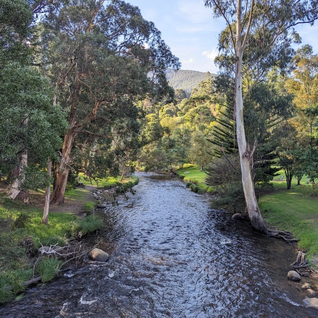 warburton river.jpg