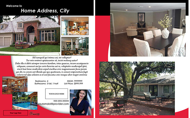 flyer-ds-3.jpg