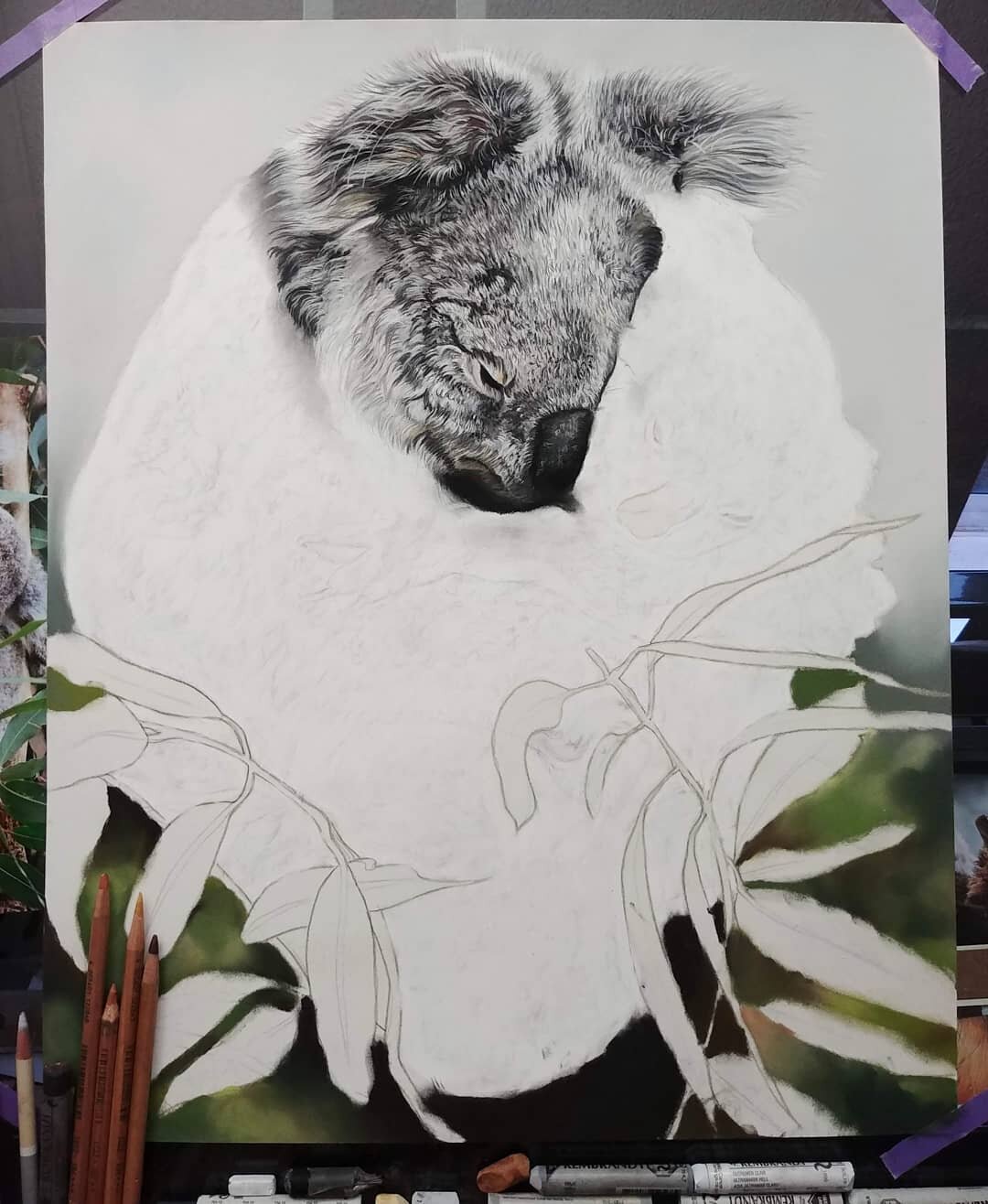 I want to share the process of Mother Australia. This is a very special portrait I created and dedicated to all the animals who lost their lives in the Australian Wildfires. Over 300 billion animals were killed or displaced during the wildfires and i