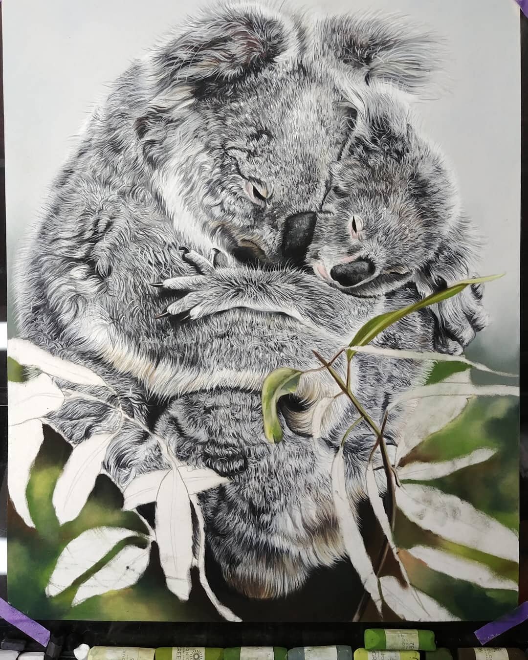 Both mother and baby are complete, now I just need to finish the leaves around them.  This is a very special portrait I created and dedicated to all the animals who lost their lives in the Australian Wildfires. Over 300 billion animals were killed or