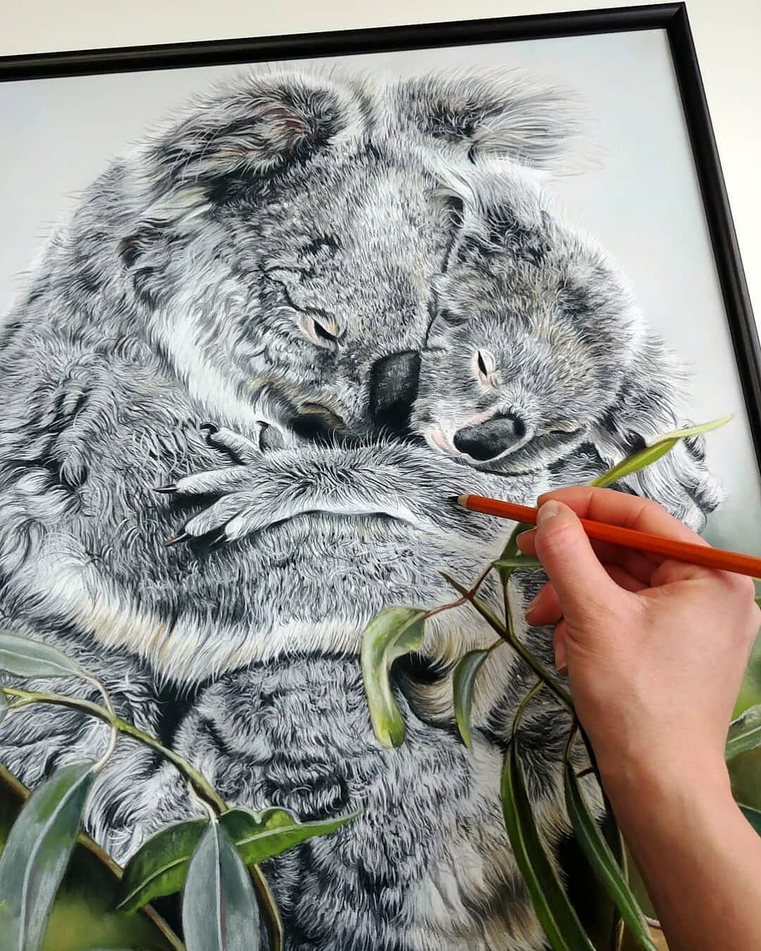 Last minute touch ups to mama and baby then they'll be complete together. This is a very special portrait I created and dedicated to all the animals who lost their lives in the Australian Wildfires. Over 300 billion animals were killed or displaced d