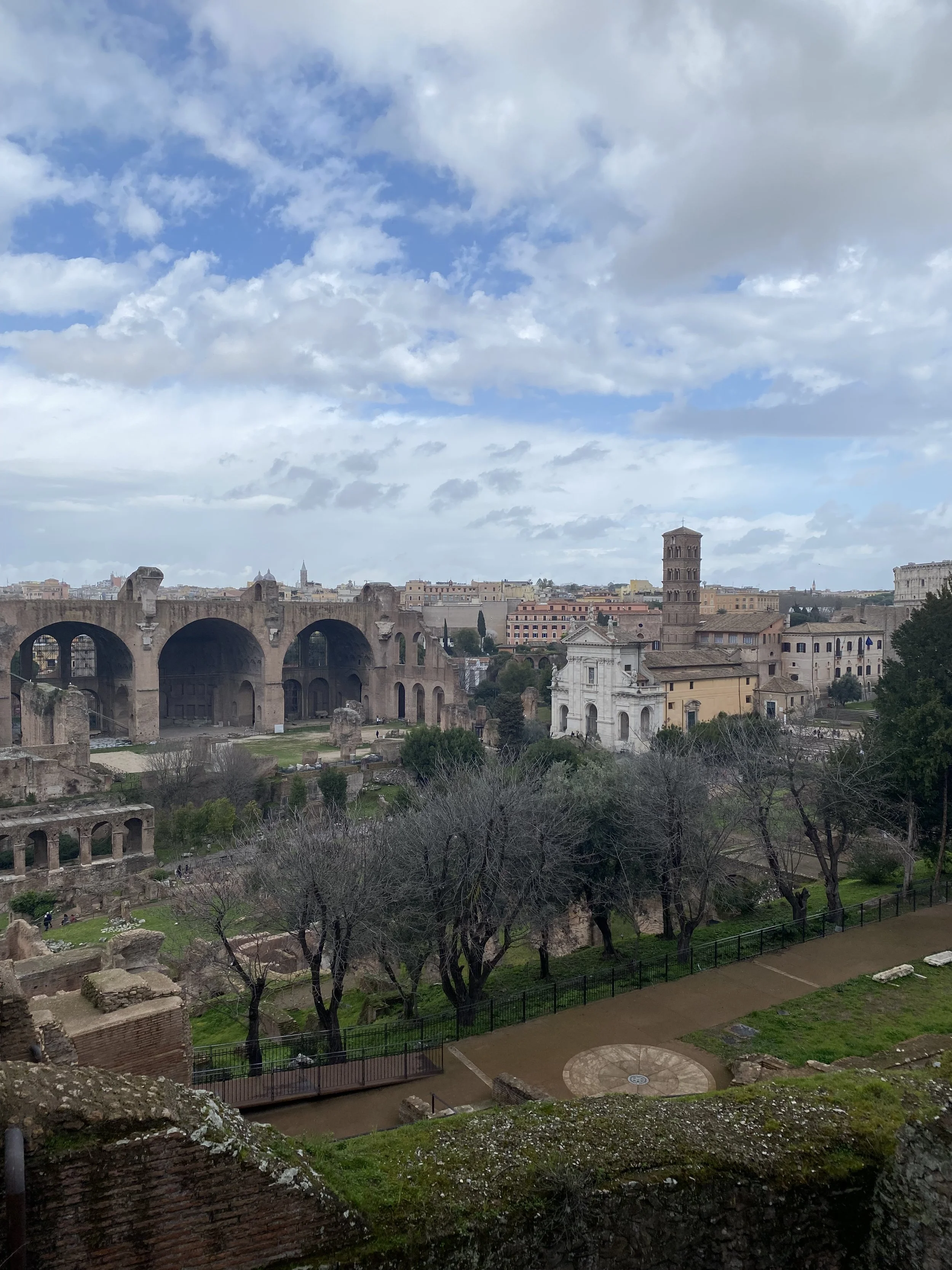 View of Roman Forum from Palatine Hill